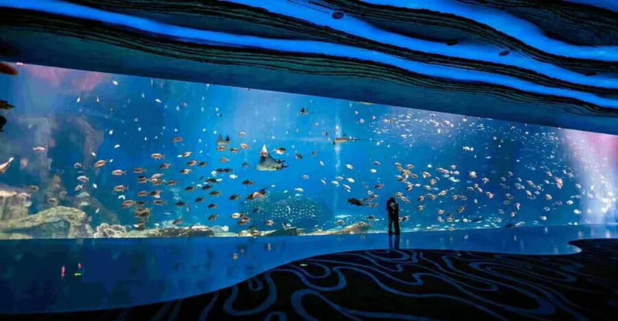 海洋館水族館生物養(yǎng)殖用水臭氧殺菌，滅藻