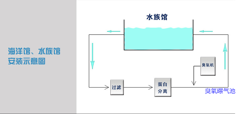 海洋館過濾，蛋分，臭氧，曝氣池.png